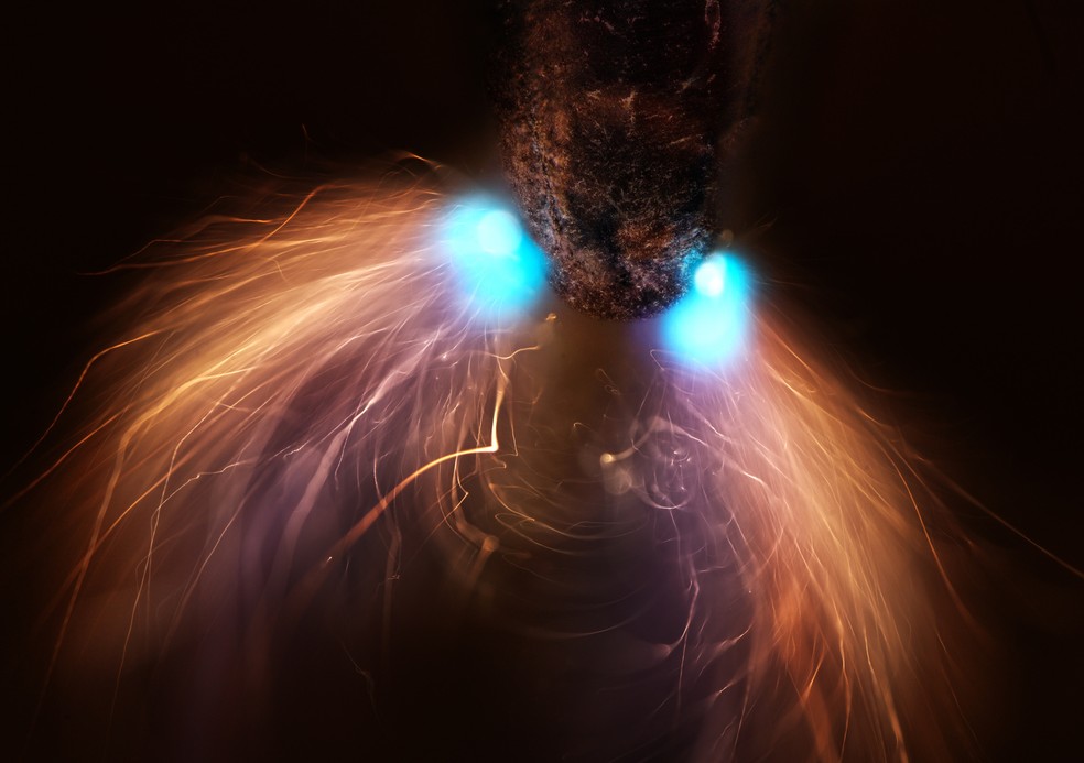 8º lugar: Grafite de lápis é atingido por uma descarga elétrica de alta tensão. — Foto: Marcel Clemens/Nikon Small World