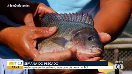 Semana do Pescado é realizada no Tocantins para incentivar o consumo de peixes