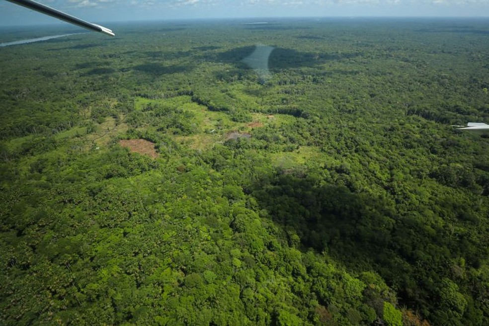Unidade de Conservação Federal está localizada nos municípios de Altamira e Novo Progresso — Foto: Rodrigo Pinheiro/Agência Pará