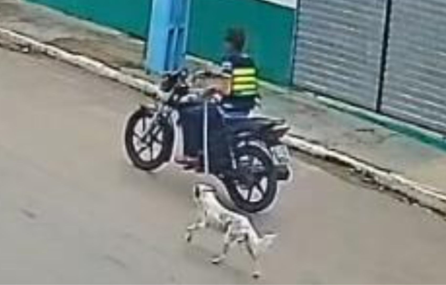 Polícia Civil identifica homem que foi flagrado arrastando cachorro com motocicleta em Porto da Folha 
