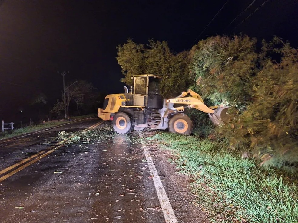 Cinco árvores caíram em Bonito depois durante temporal nesta segunda-feira (16). — Foto: Divulgação/Prefeitura de Bonito