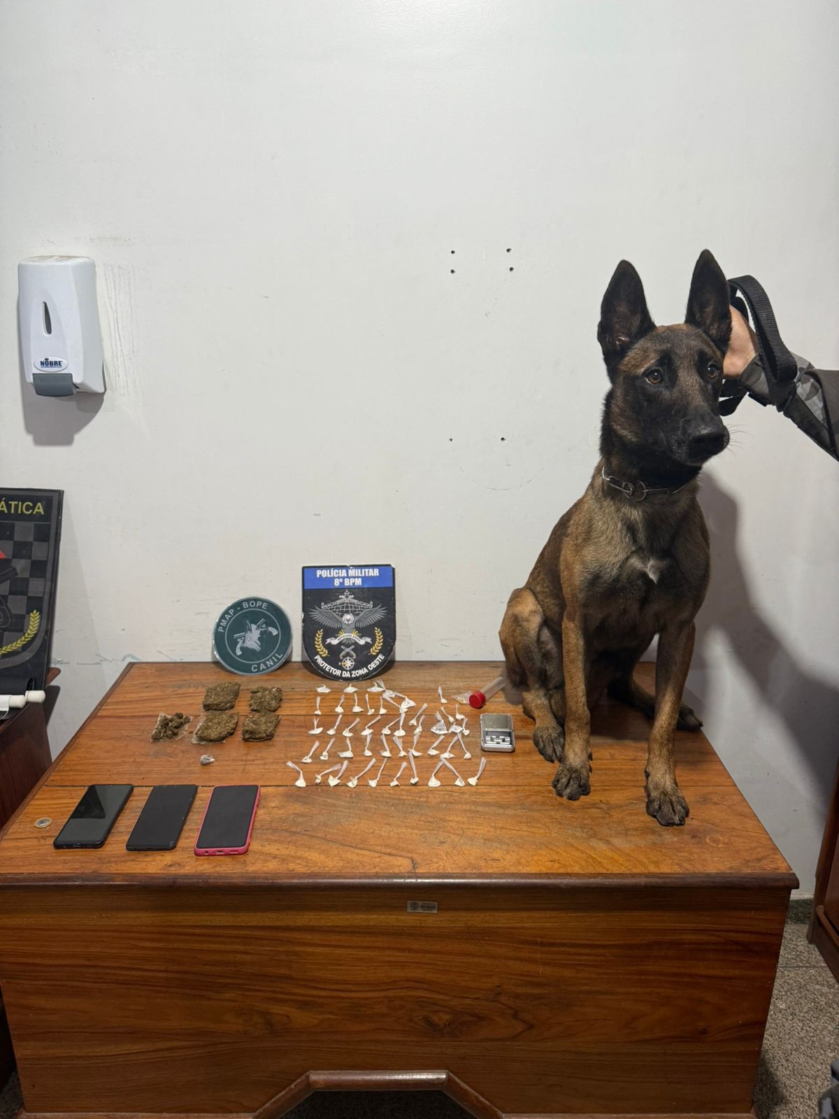 Cão farejador encontra crack e maconha durante ação da PM na Zona Oeste de Macapá