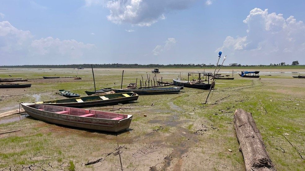 Seca 2023: Lago do Aleixo secou em Manaus — Foto: Gato Júnior/Rede Amazônica