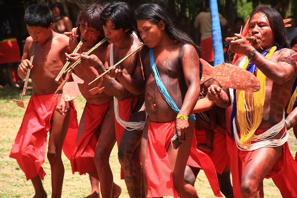 Site Taquiprati - A capivara, os índios e a boiada de guerra