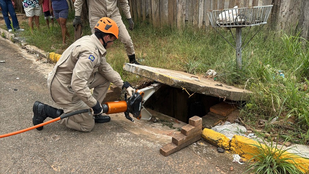 Bombeiros usaram ferramentas hidráulicas para conseguir resgatar os filhotes — Foto: Corpo de Bombeiros de Mato Grosso