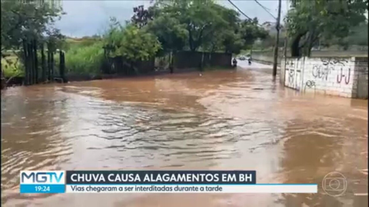 Chuva Provoca Alagamentos E Queda De árvores Em BH | Minas Gerais | G1