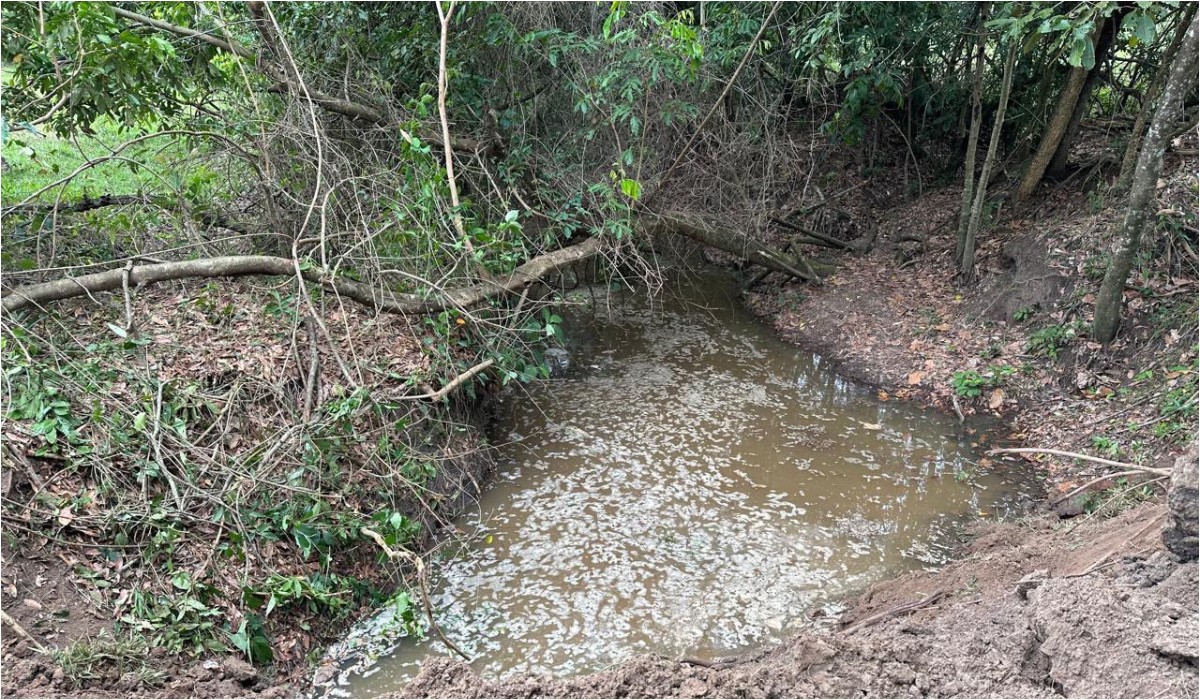 Sitiante é multado em R$ 1,5 mil após usar retroescavadeira e degradar área protegida no interior de SP