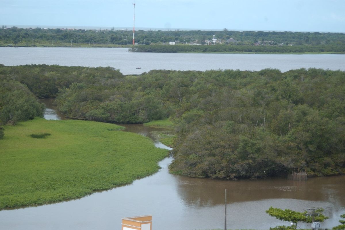 Justiça Federal condena invasor de terra indígena que vendeu lotes e destruiu vegetação no litoral de SP