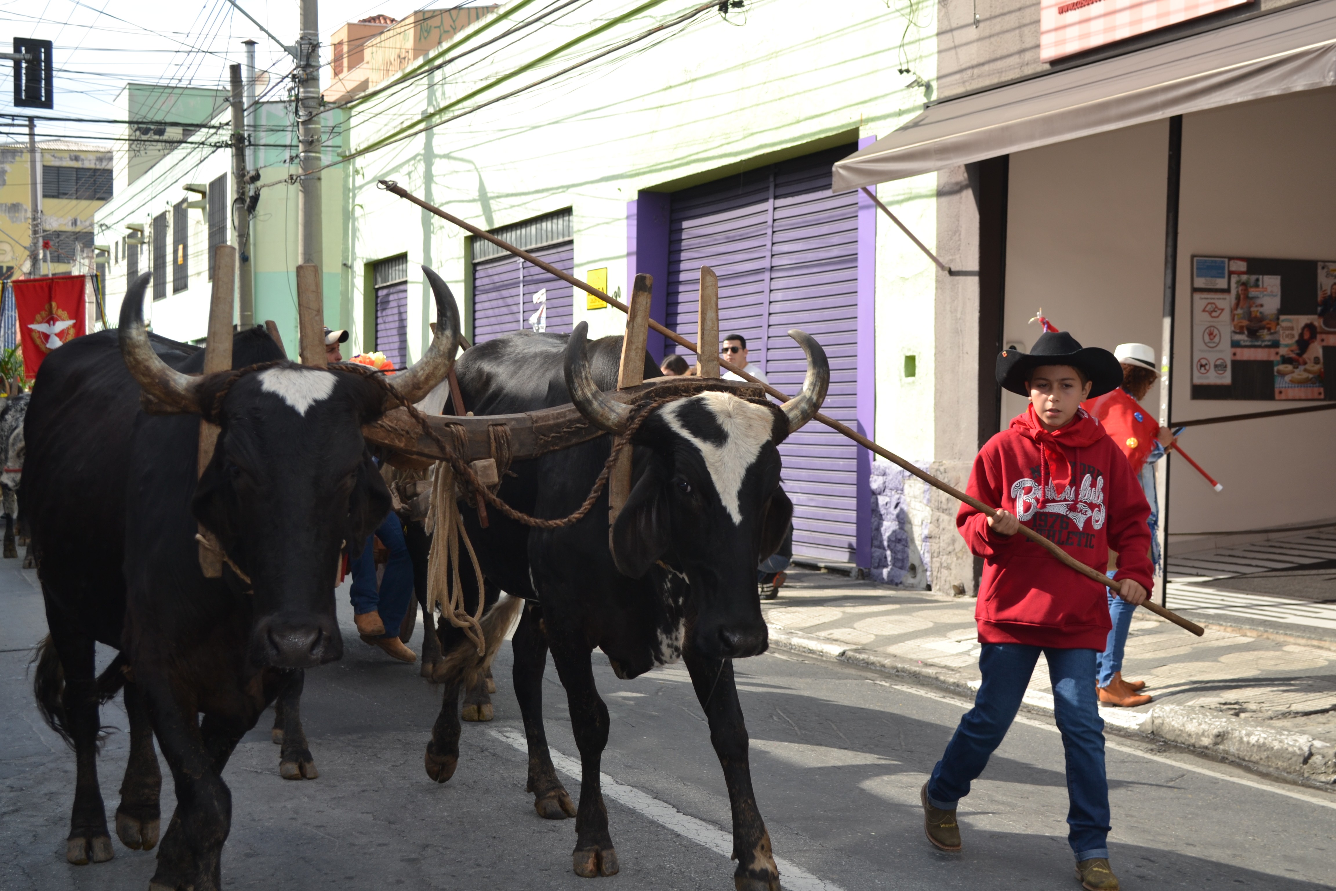 Humberto Gessinger, carro de boi, feira de brechós: Sul de Minas tem atrações variadas no fim de semana
