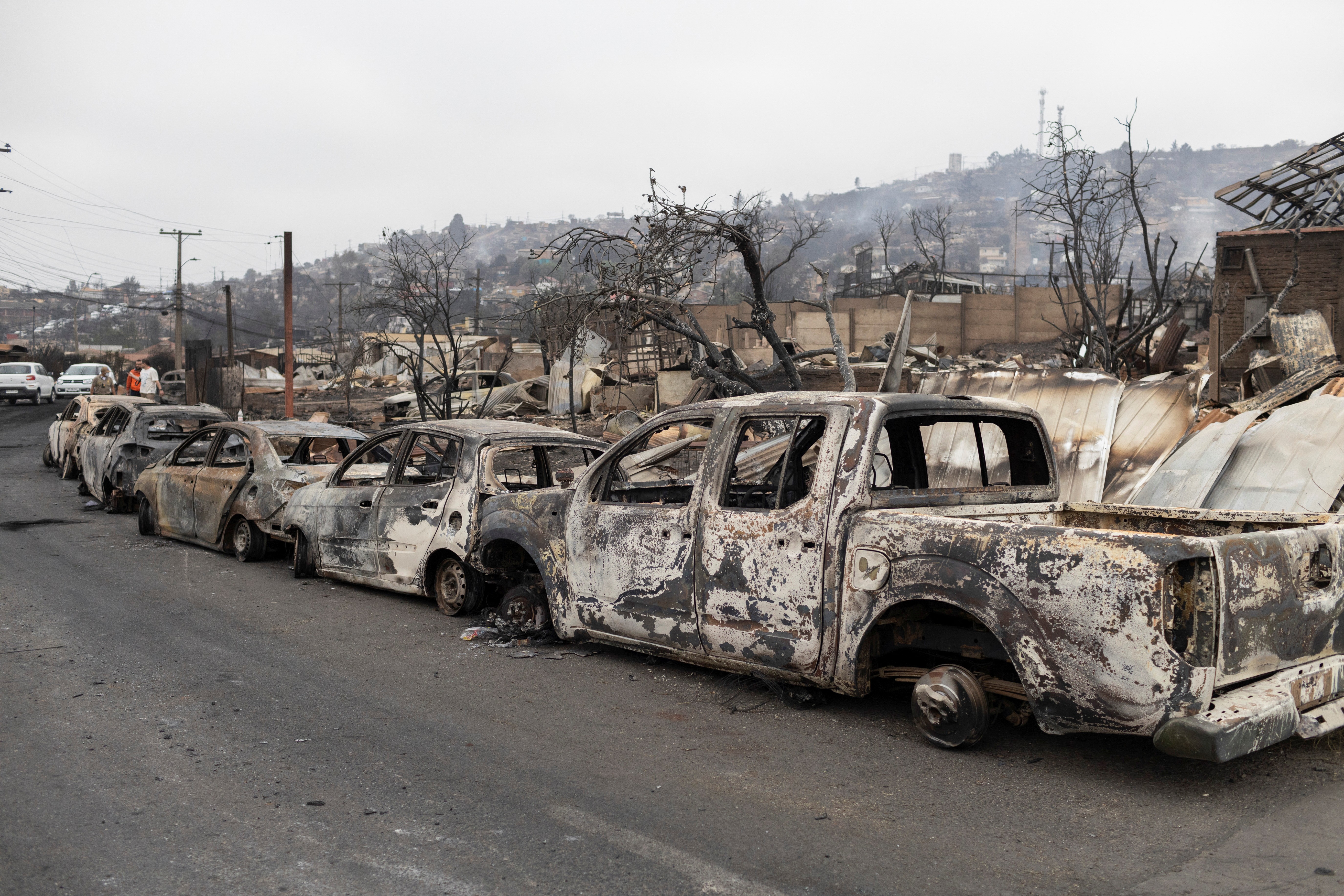 Incêndios no Chile: brasileiro relata cenas à lá ‘The Walking Dead’, carros em direção contrária e botijões explodindo