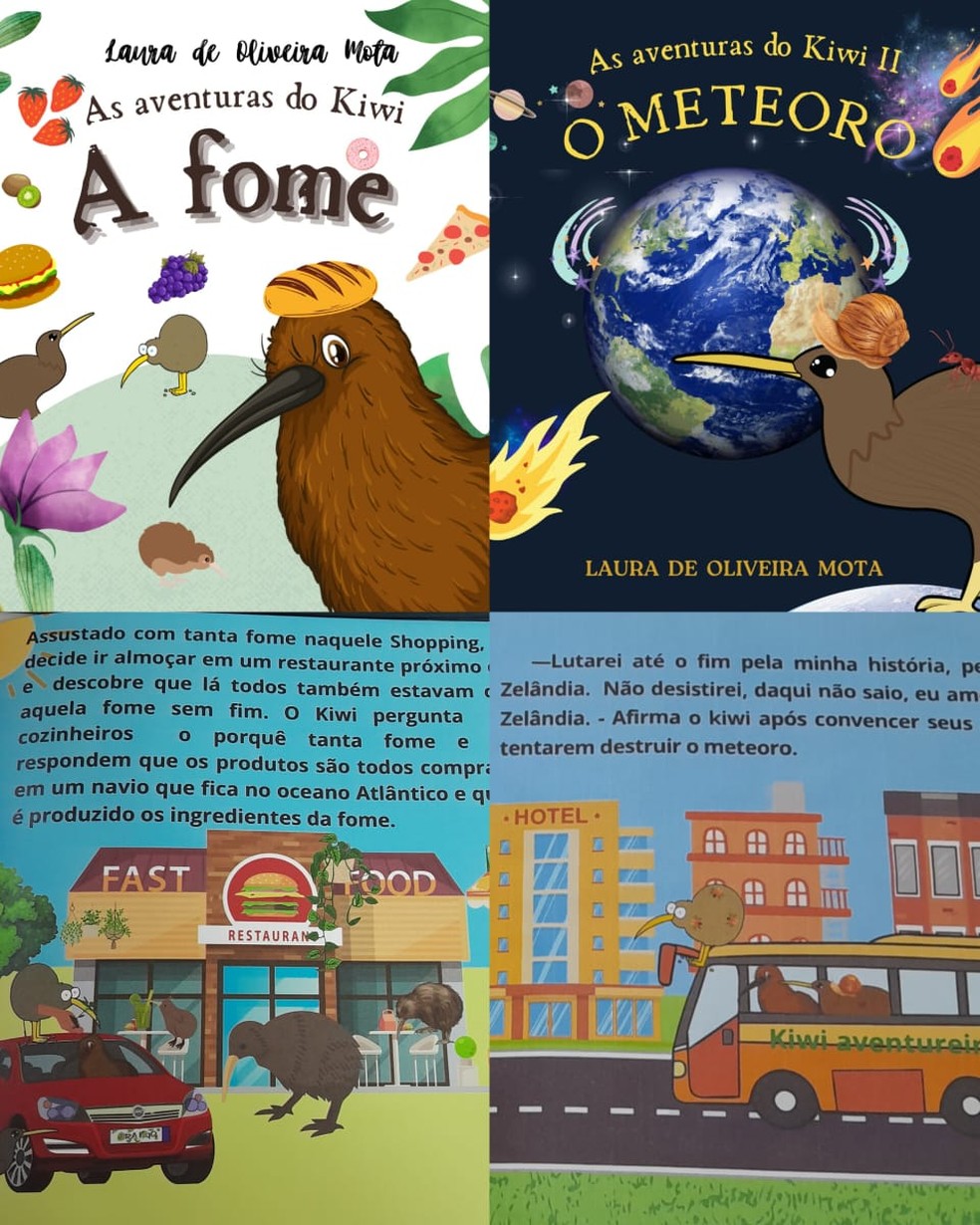 Dois livros já estão totalmente prontos, outros 13 devem ser publicados posteriormente — Foto: Arquivo pessoal