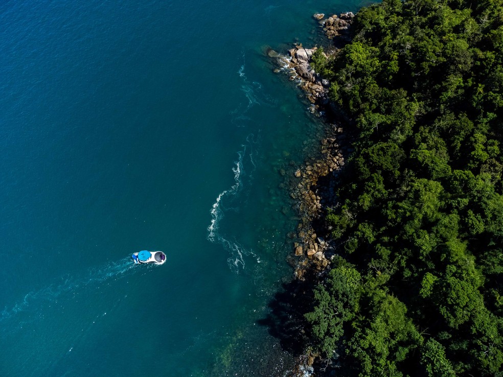 Passeio de hidronave com visão subaquática explora ecossistema marinho no Litoral Norte de SP — Foto: Divulgação/Instituto Argonauta