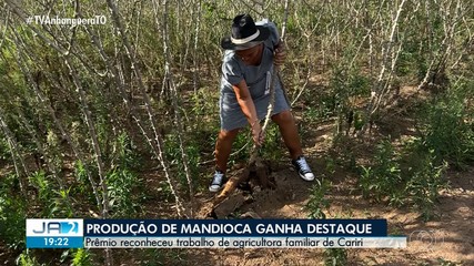 Produção de mandioca ganha destaque em Cariri