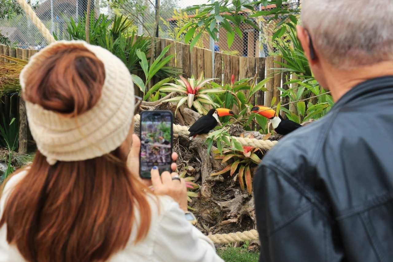 Resgatados de maus tratos ou do tráfico: conheça o parque dedicado à Nossa Senhora Aparecida que cuida de animais debilitados