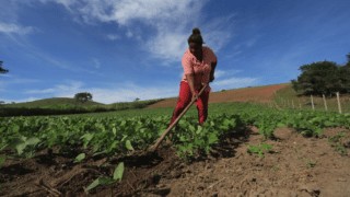 Eleição para Conselho de Desenvolvimento Rural