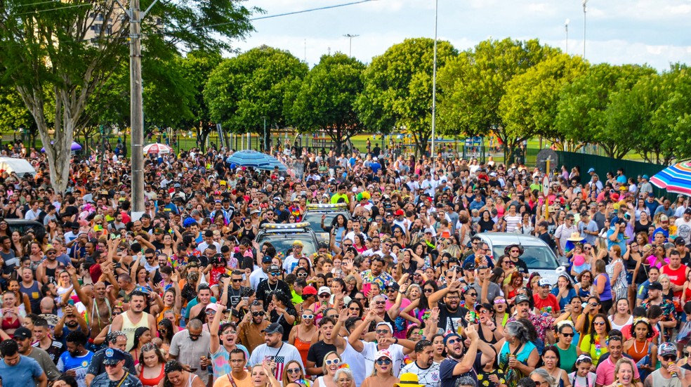 Carnaval de Jacareí no Parque da Cidade — Foto: Divulgação/Fundação Cultural de Jacarehy