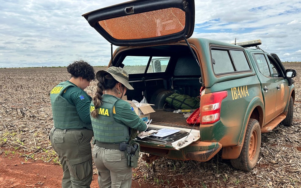 Agentes ambientais federais inspecionam área de plantio em GO — Foto: Divulgação/Ibama