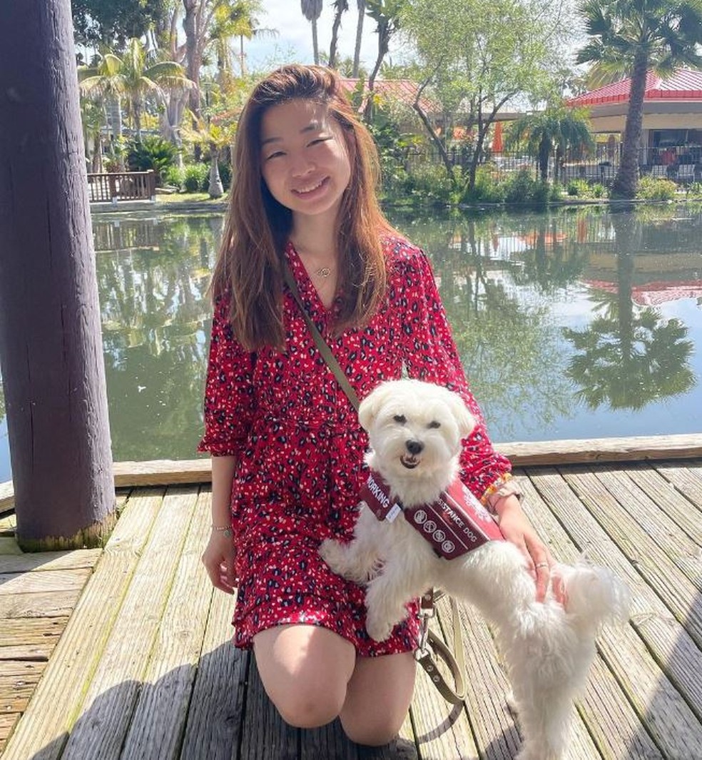 Tofu com a dona visitando Los Angeles, na Califórnia — Foto: Reprodução/ Instagram