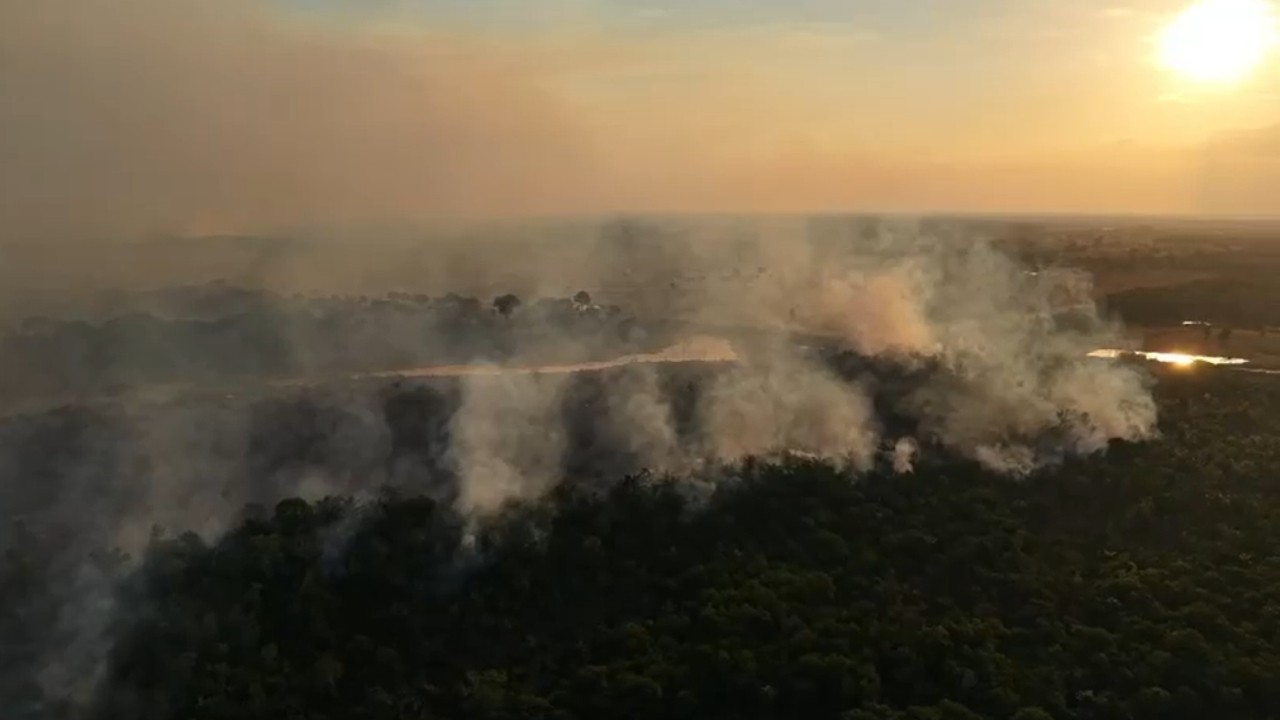 VÍDEO: Incêndio florestal atinge trecho da BR-319 e mobiliza bombeiros há três dias
