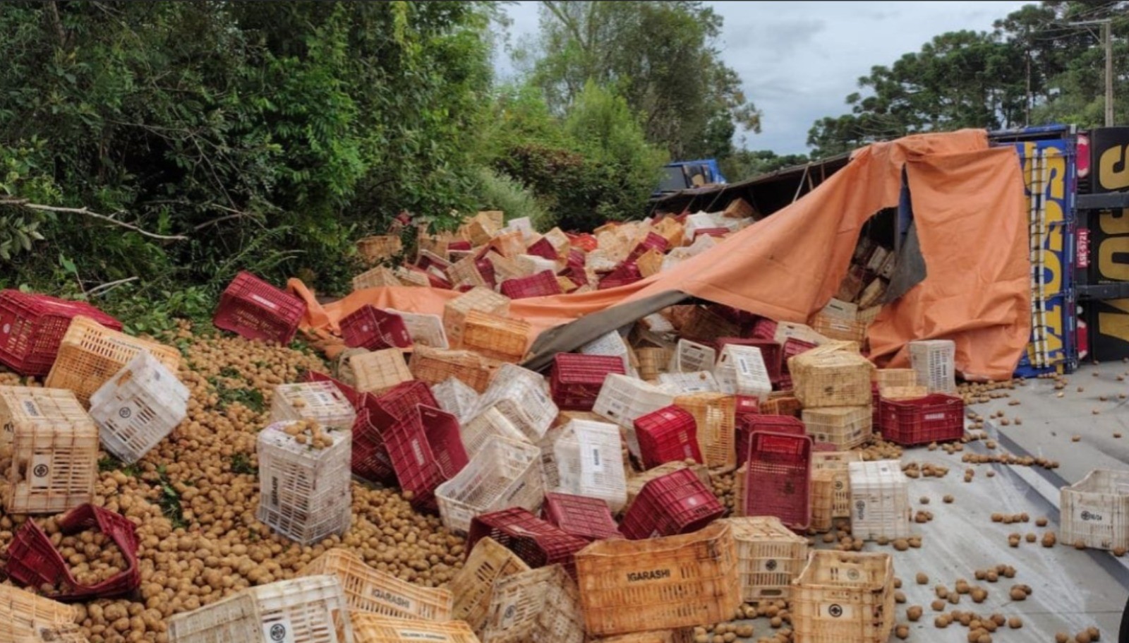 Caminhoneiro morre após tombar carreta carregada de batatas em SC