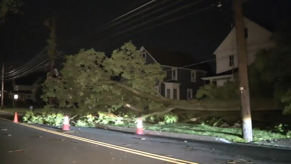 Árvore caída após tempestades atingirem Amherst, Ohio, a oeste de Cleveland, na quarta-feira, 10 de junho de 2026. — Foto: AP/Cortesia WEWS/NEWS5