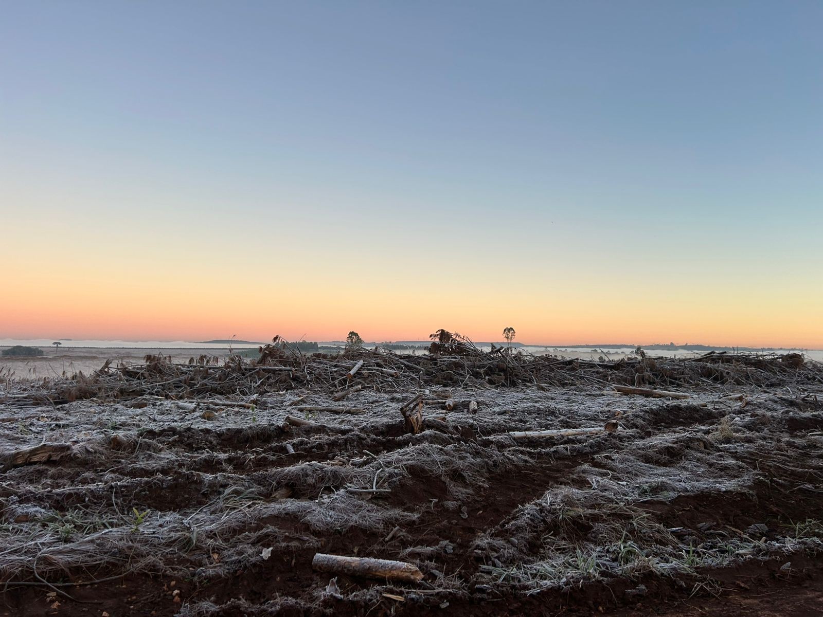 FOTOS: cidades da região de Itapetininga registram temperaturas negativas e geadas