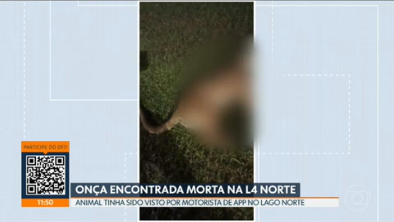 VÍDEOS: DF1 de terça-feira, 7 de abril de 2026