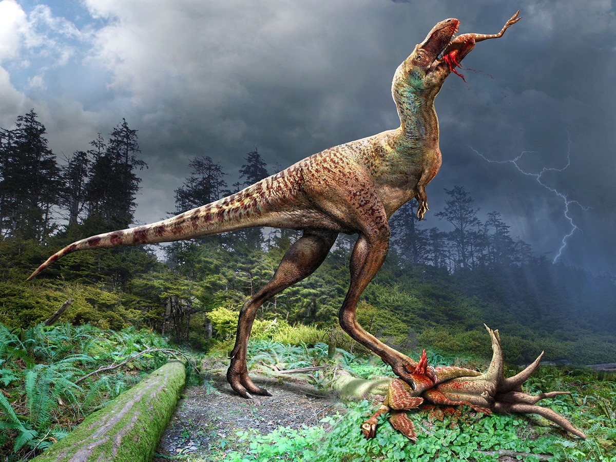 Científicos descubren fósil de un primo T. Rex con sus últimas comidas en el estómago |  Mundo