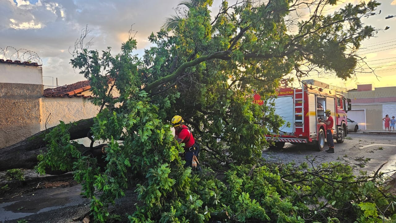 Ventania derruba árvores e causa transtornos em bairros de Montes Claros
