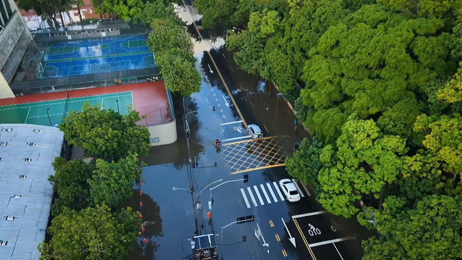 Chuva deixa bolsões d’água e quedas de árvores no Rio;  previsão indica risco de mais alagamentos no fim de semana