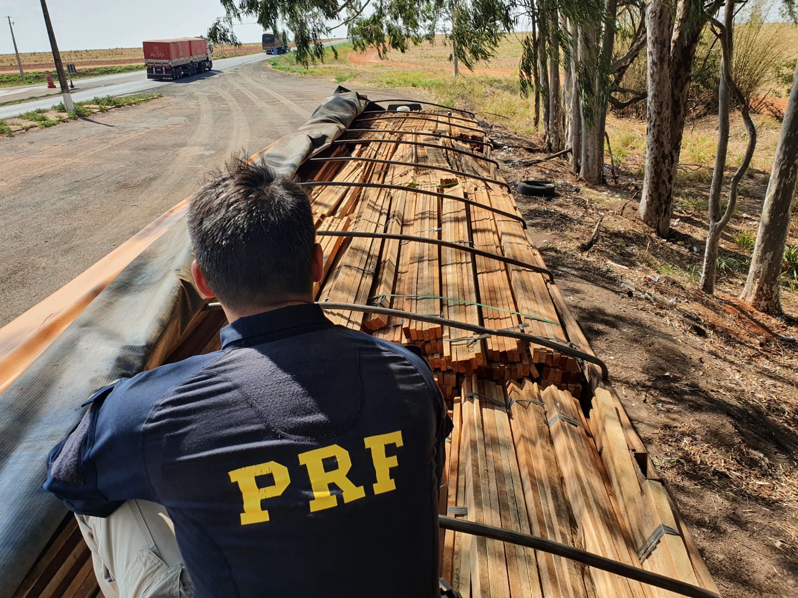 Bombeiros resgatam cavalo que caiu em mata-burro em fazenda de Anápolis, Goiás