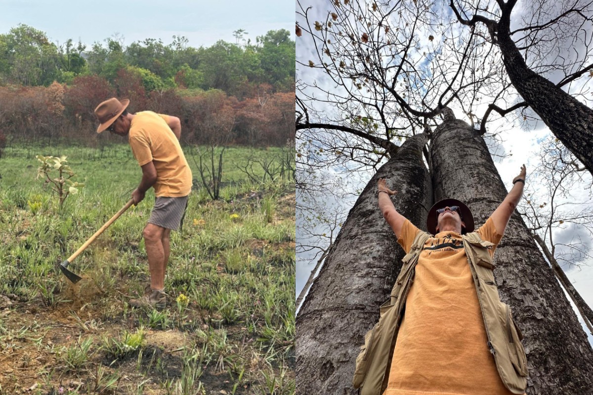 O berço das águas: restauração no Cerrado tem alta em 79% retenção do solo e alimenta o Pantanal