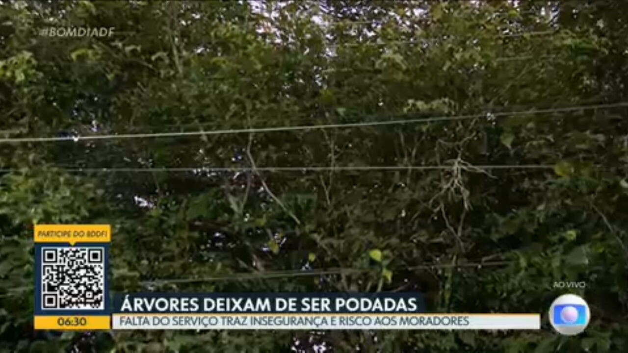 VÍDEOS: Bom Dia DF de terça-feira, 8 de julho de 2025
