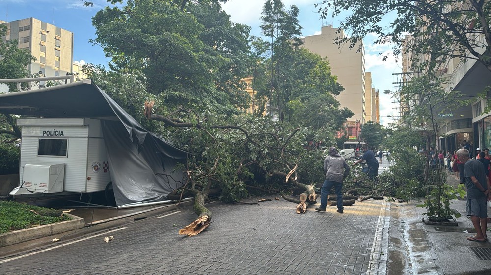 Chuva derruba árvores, interdita Zoobotânico, provoca estragos na represa e destelhamentos em Rio Preto-SP