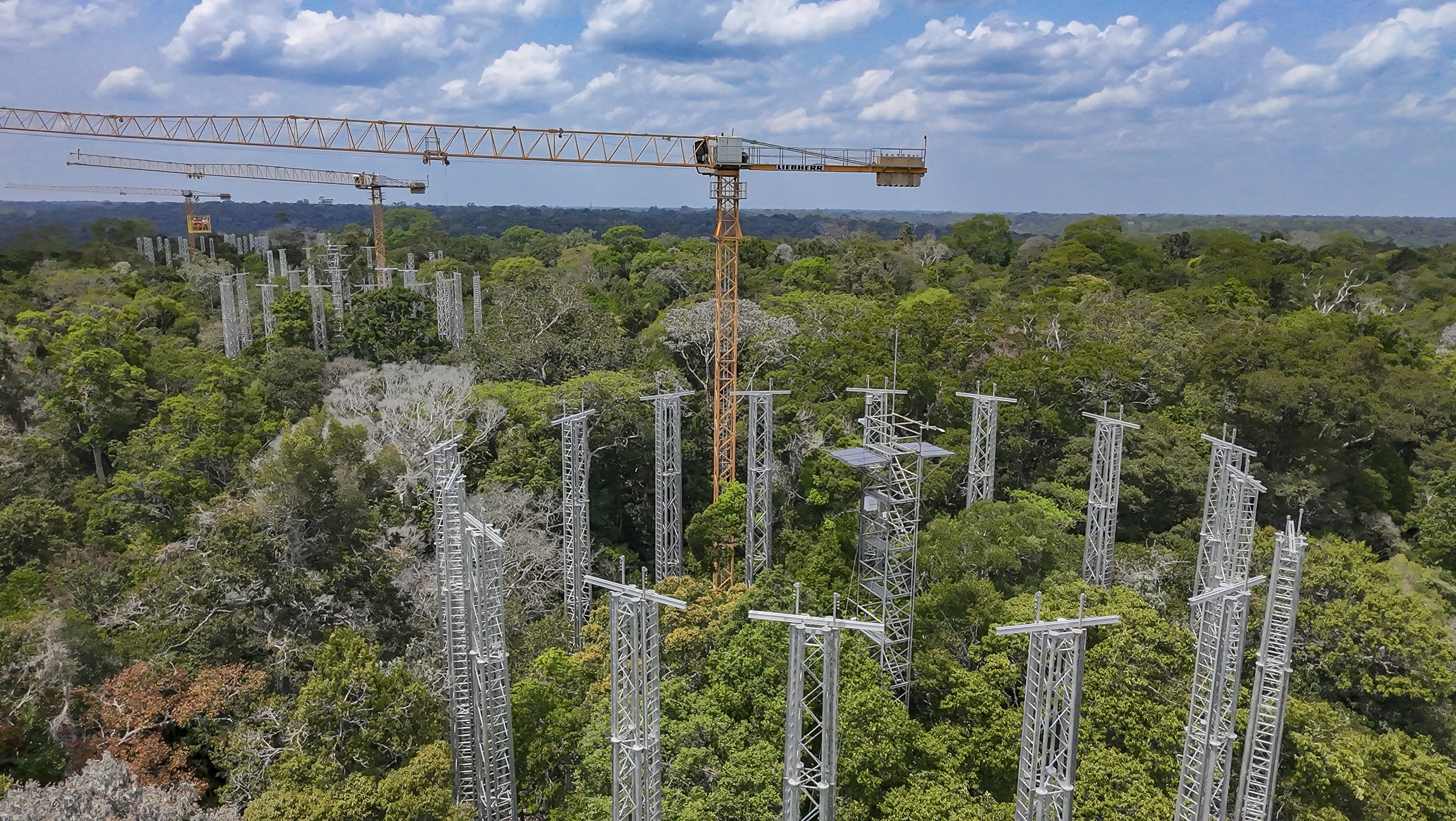 Entenda as 6 linhas de investigação do estudo que usa 'máquina do tempo' para desvendar futuro da Amazônia