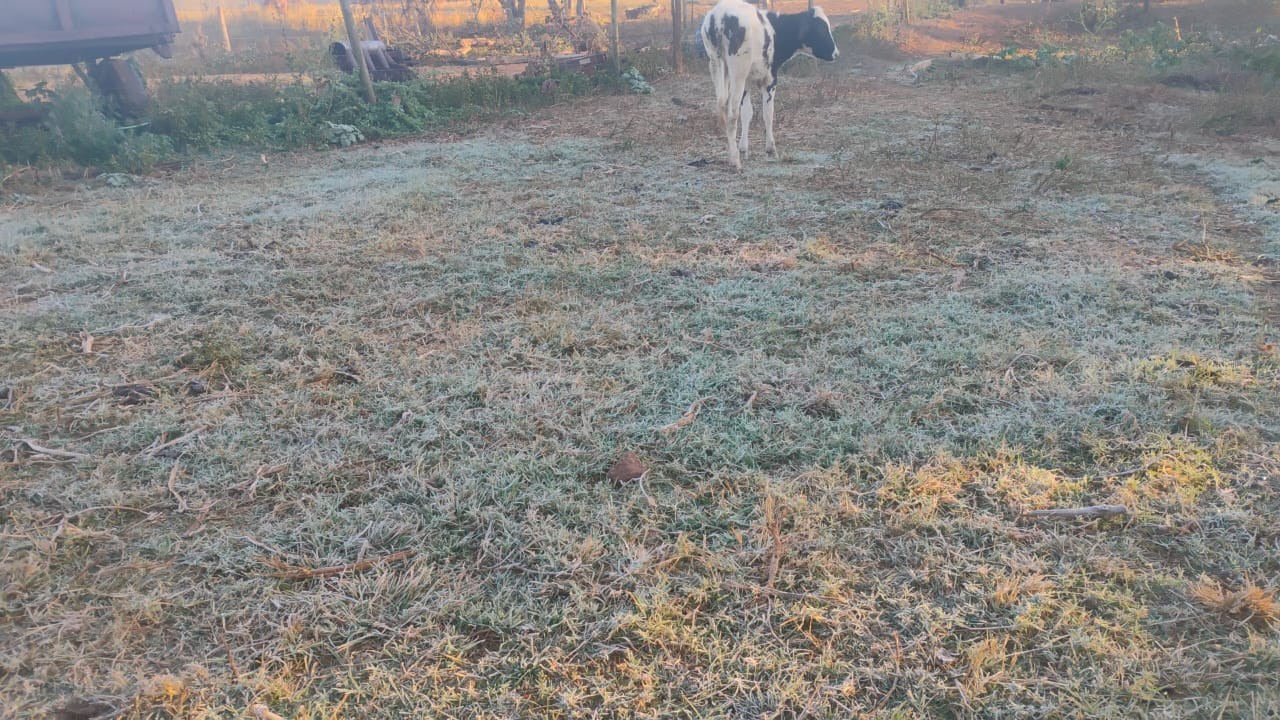 Com 2 °C, frio atinge pico e congela madrugada na zona rural de Uberlândia