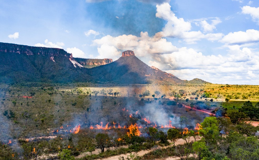 Queimadas controladas no Jalapão servem para evitar grandes incêncios — Foto: Fernando Alves/Governo do Tocantins