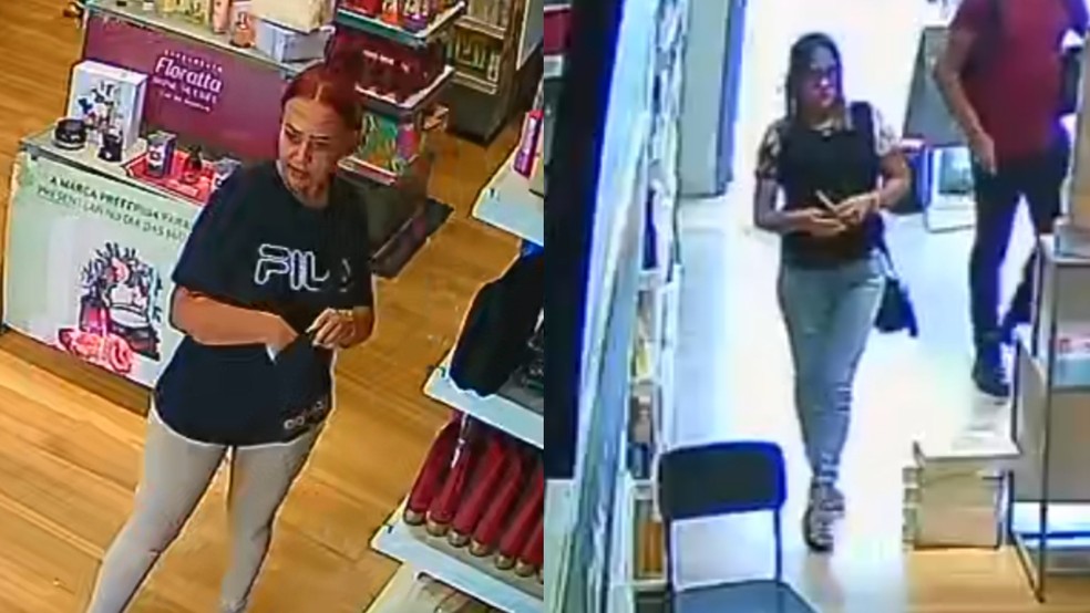 Duas mulheres são presas por furtos. — Foto: Polícia Civil/Reprodução.