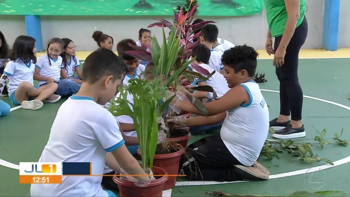 Dia da Amazônia: educação ambiental é ensinada em escolas públicas do Pará