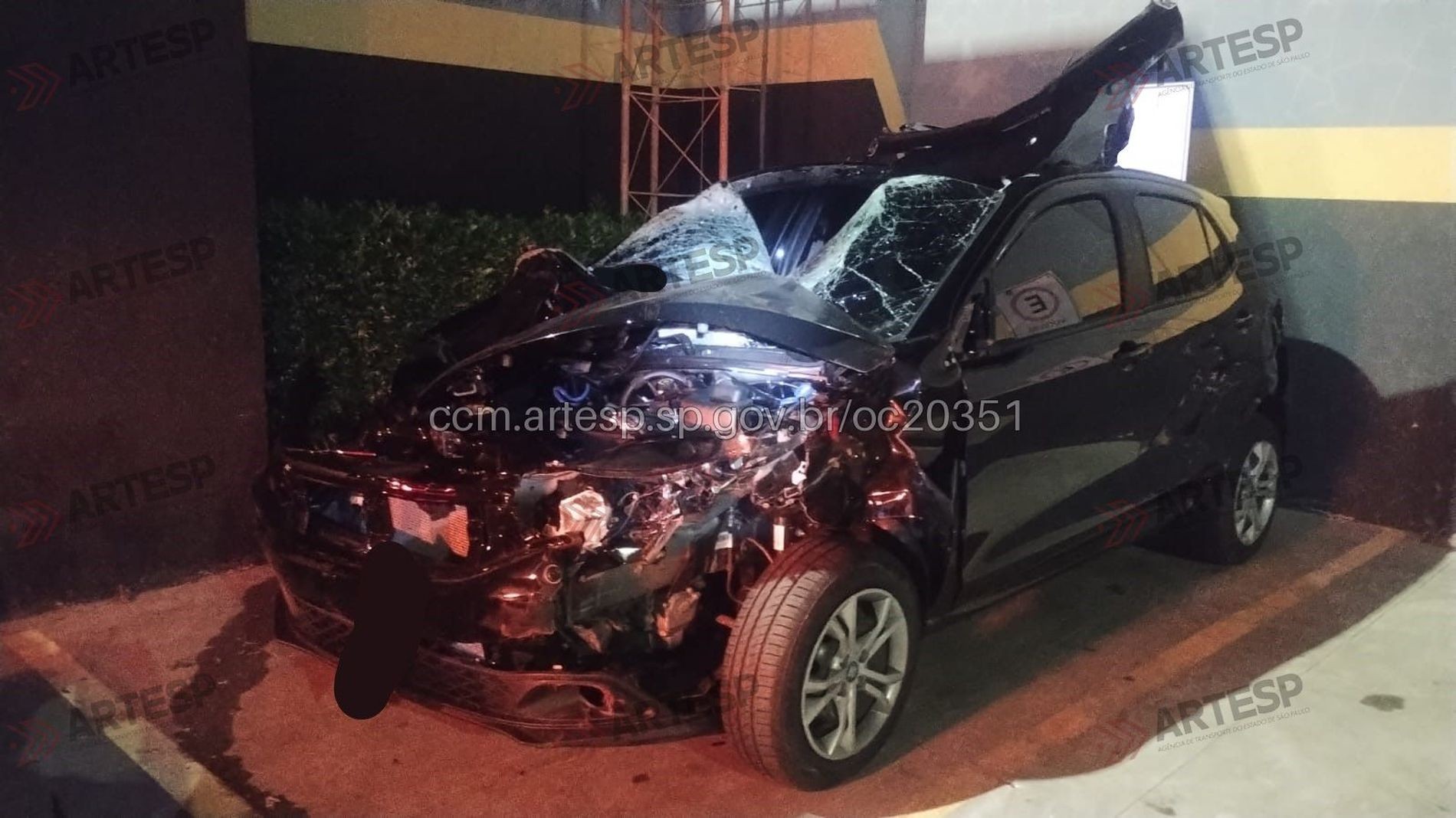 Carro fica destruído após atropelar cavalos na rodovia em Bauru; animais morreram