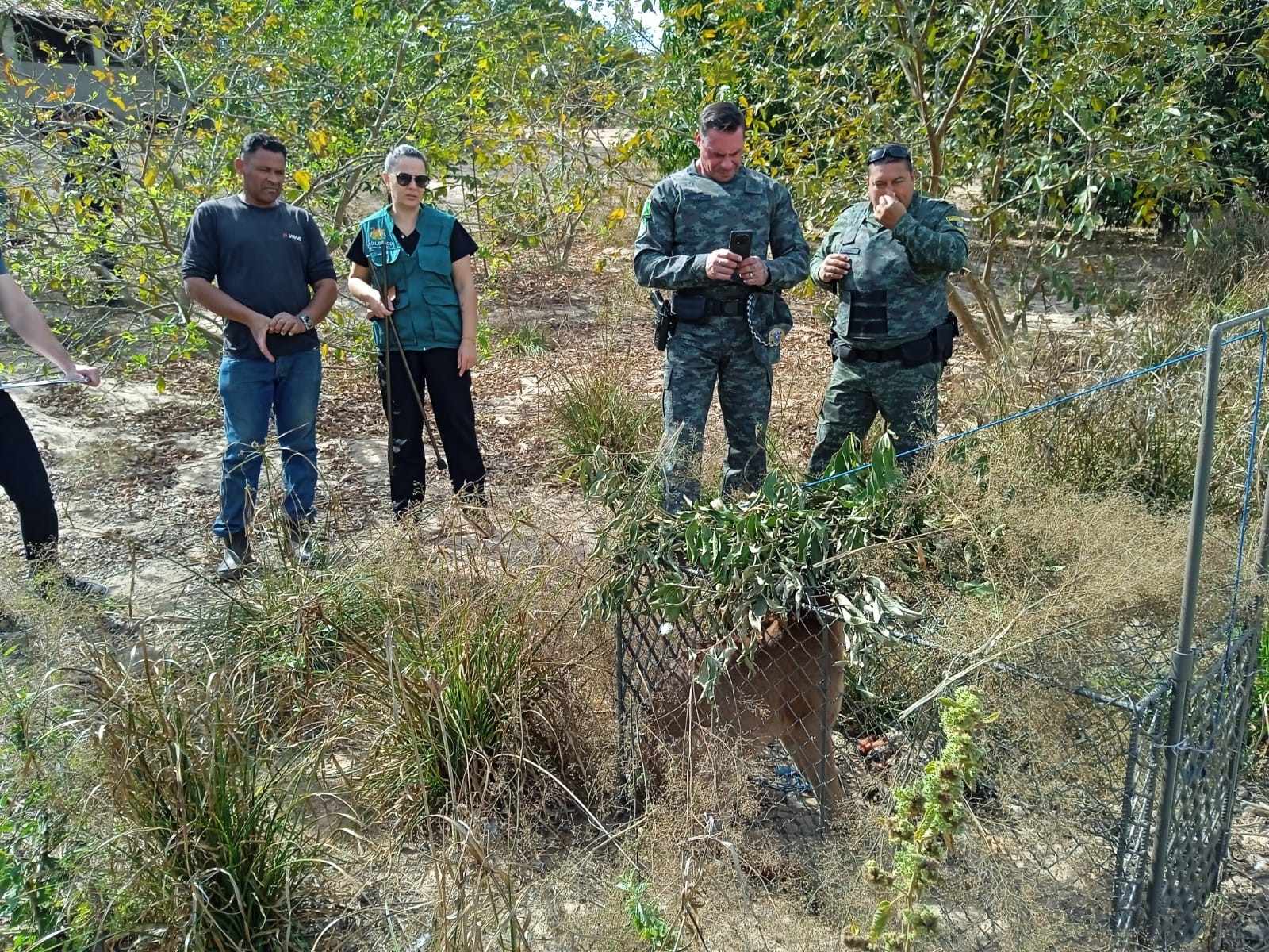Morador de Charqueada é ferido por onça no quintal de casa e cachorros espantam felino: ‘tentou atacar meu pescoço’, lembrou
