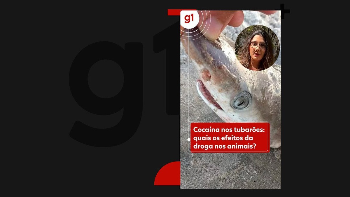 Qual Efeito Da Cocaina