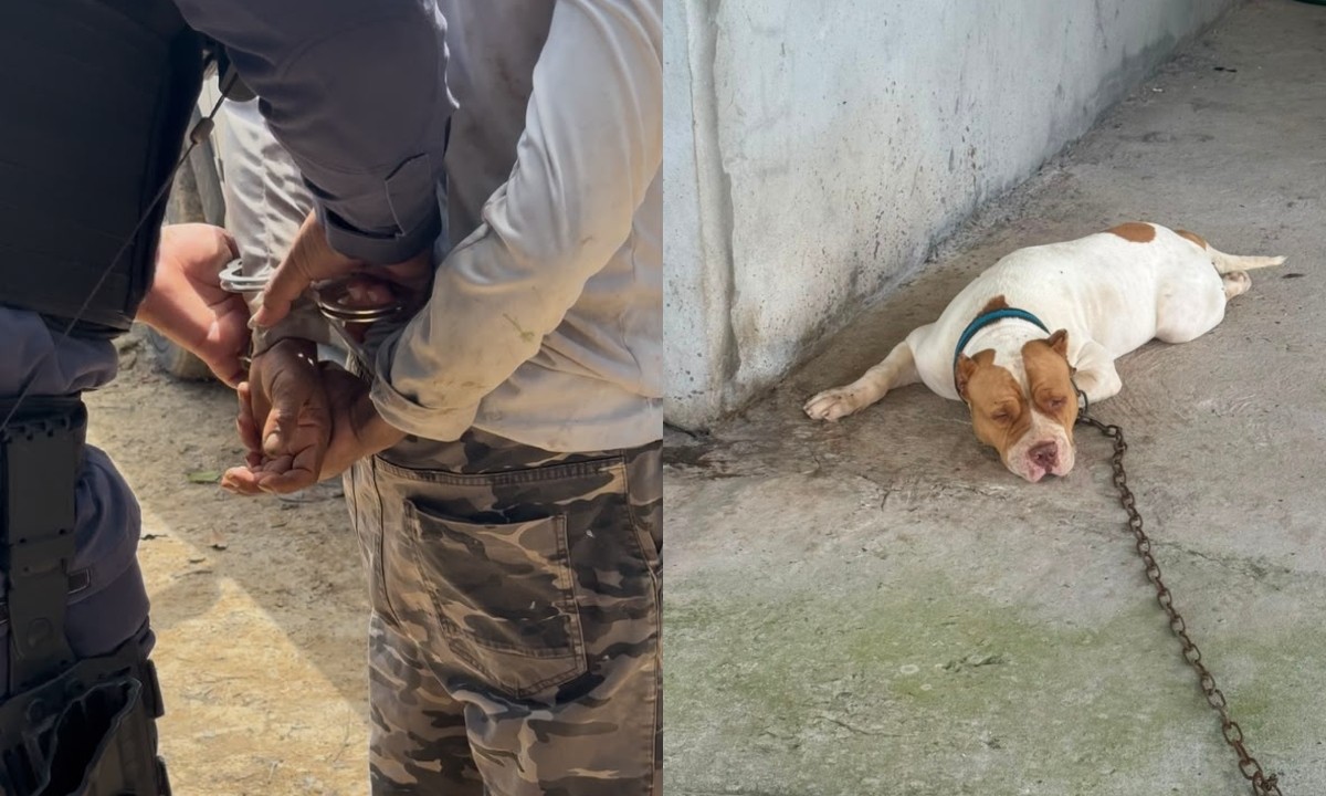 Homem é preso suspeito de maus-tratos a cachorro no interior do AM