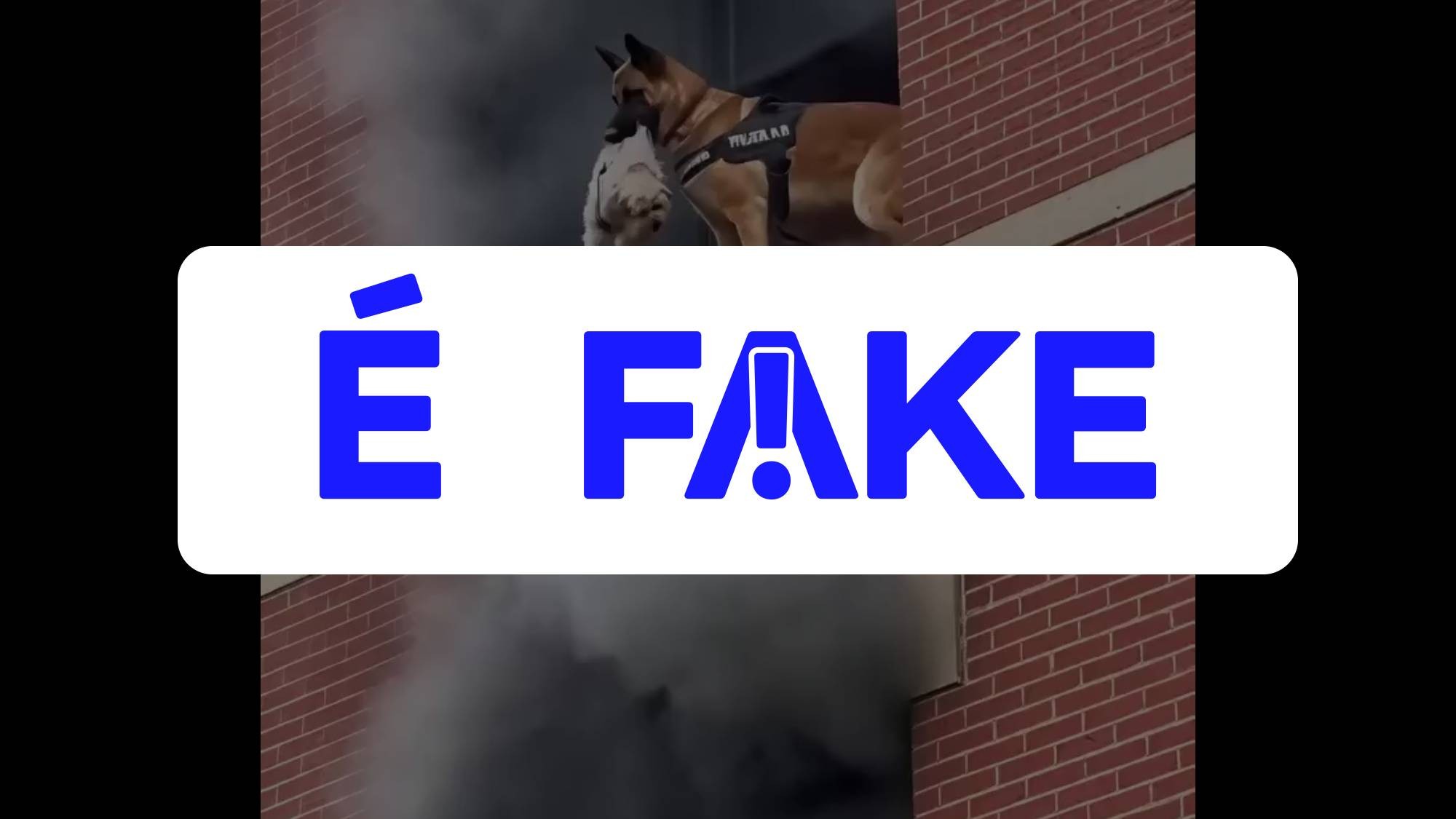 É #FAKE vídeo de cão policial salvando shih tzu de prédio em chamas; cena foi criada com inteligência artificial