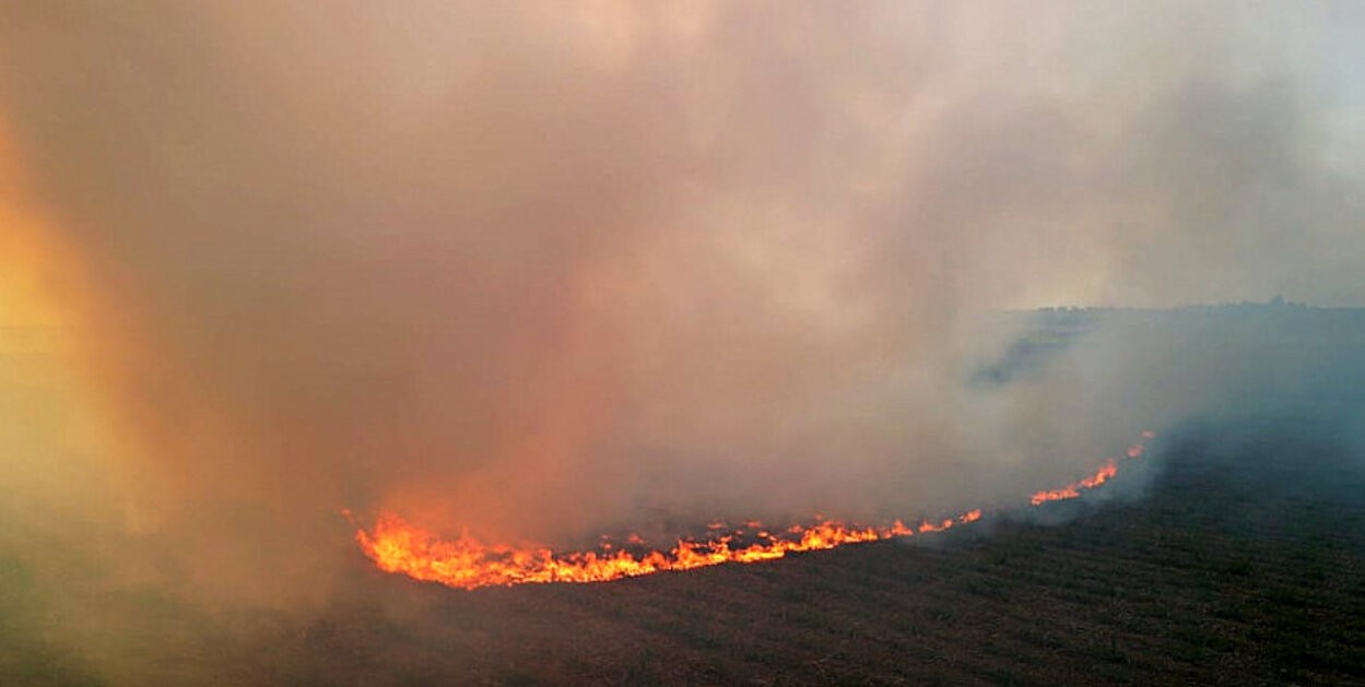 VÍDEO: imagens de drone mostram dimensão de incêndios em canavial entre Ibaté e São Carlos