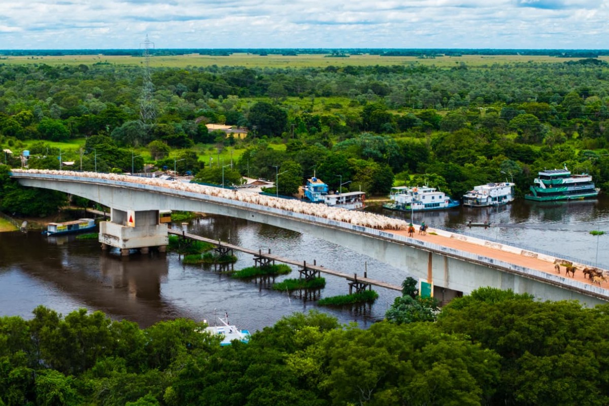 VÍDEO: fotógrafo registra comitiva que revela cultura pantaneira em MS