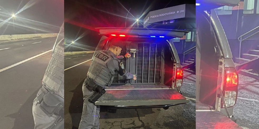 Homens foram presos em flagrante por receptação — Foto: Polícia Militar Rodoviária