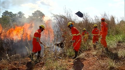 Prefeitura de Paraíso abre inscrições para brigadistas; veja como participar