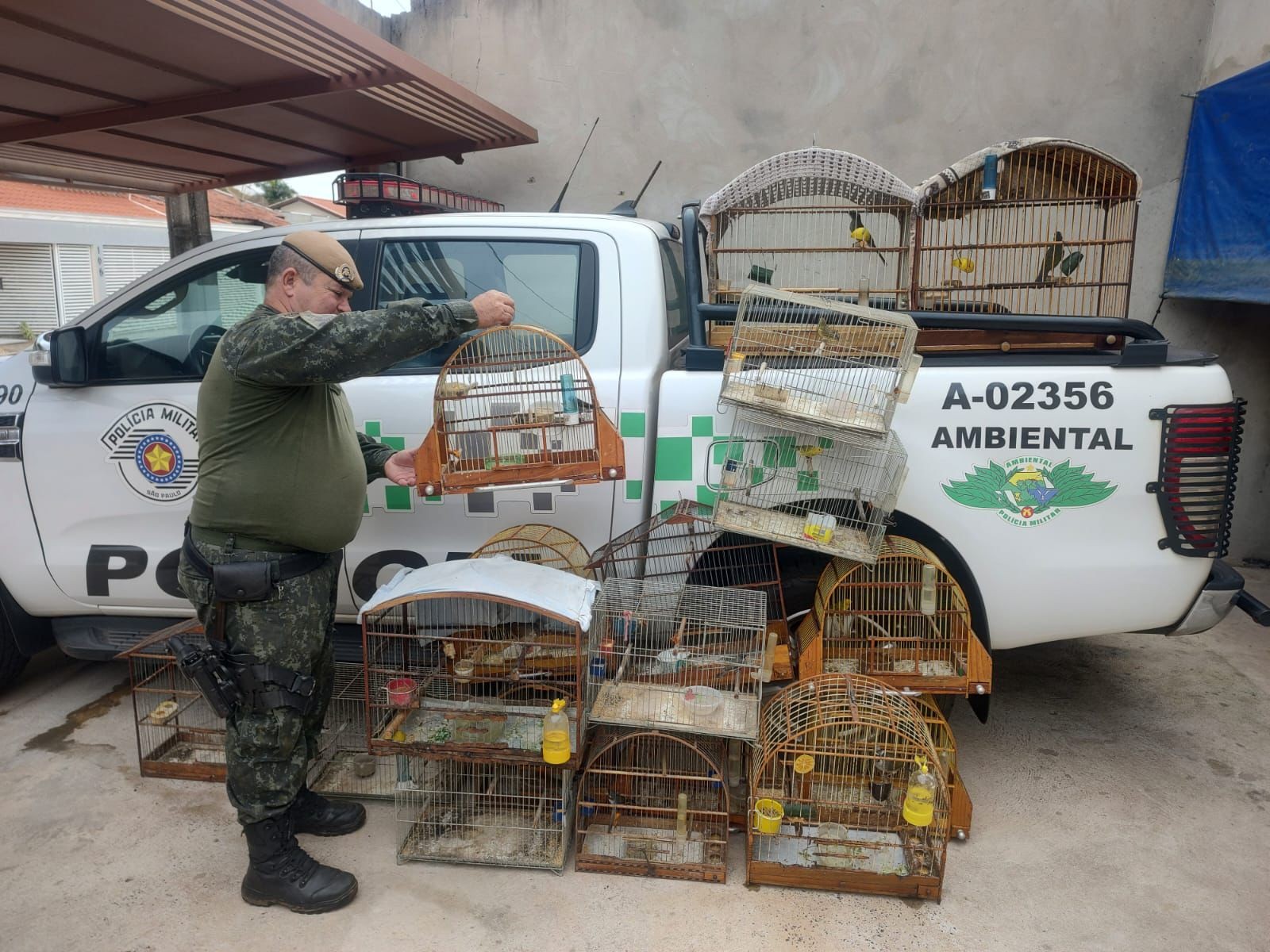Idoso é multado em R$ 9,5 mil por manter 19 aves silvestres em cativeiro, em Lucélia