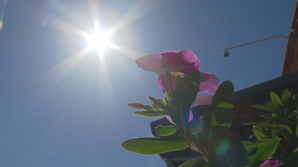 Céu azul e sol, em imagem de aqrquivo — Foto: TV Globo/ Reprodução